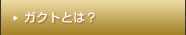 ガクトとは？